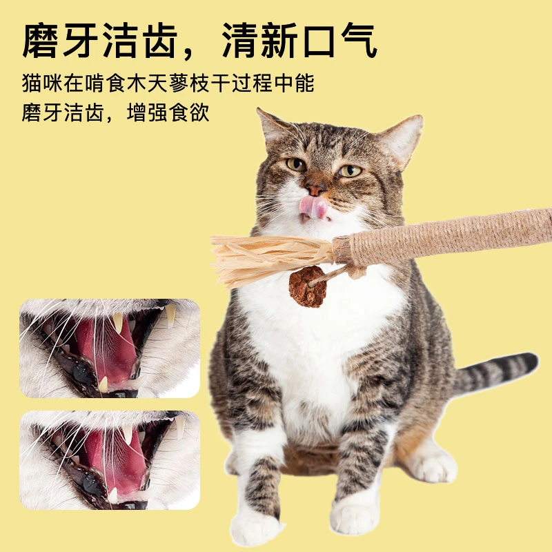RUAYIRUA木天蓼磨牙棒猫玩具自嗨解闷猫薄荷球逗猫棒耐咬猫咪用品