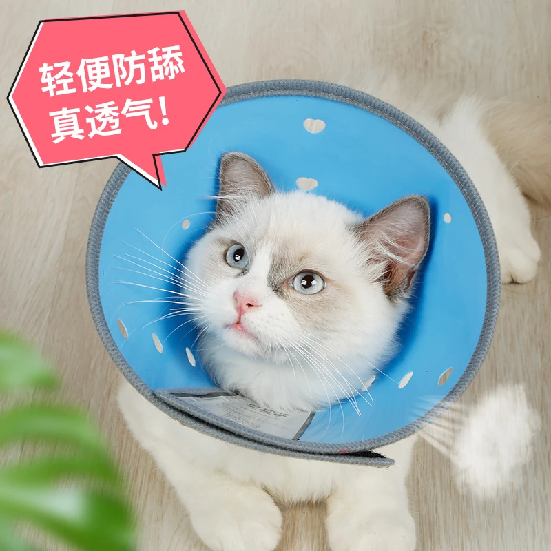 RUAYIRUA伊丽莎白圈猫咪项圈猫伊利莎白宠物狗狗头套防咬防舔用品