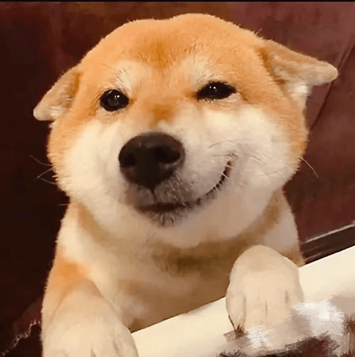 新款肩带肩带肩带肩带