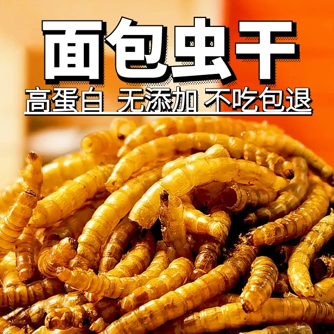 仓鼠粮食饲料面包虫干芦丁鸡小仓鼠营养主粮微量元素乌龟新鲜健康