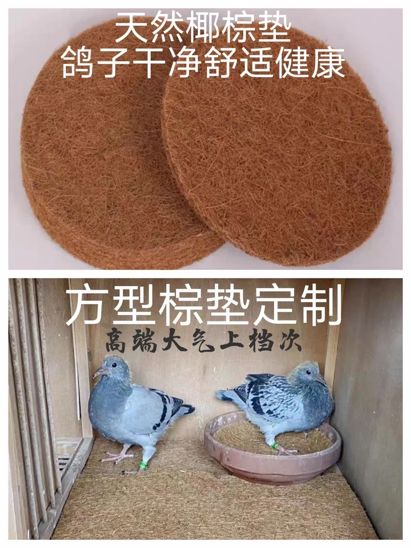 【巢盆 棕垫】大号 加厚 信鸽 观赏鸽 都可以用 舒适 保暖 透气干净