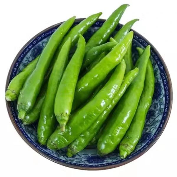 辣椒苗薄皮浅绿色杭椒种子阳台四季季节辣椒种子田园盆栽种植抗病
