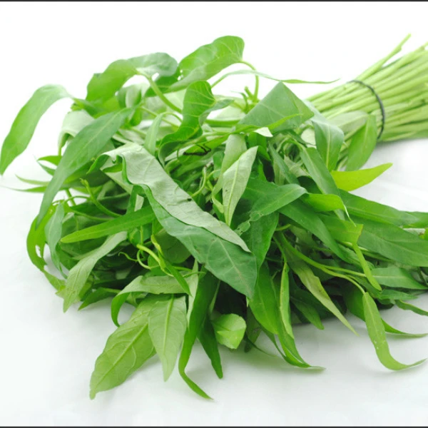 大叶空心菜种子四季播蕹菜籽阳台盆栽农家庭院水培蔬菜种籽易种植