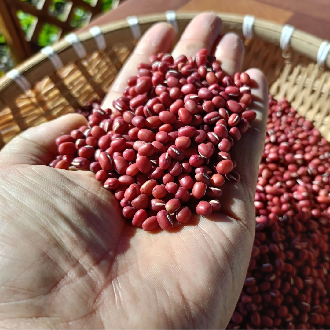 红豆  初级农产品 5斤起邮