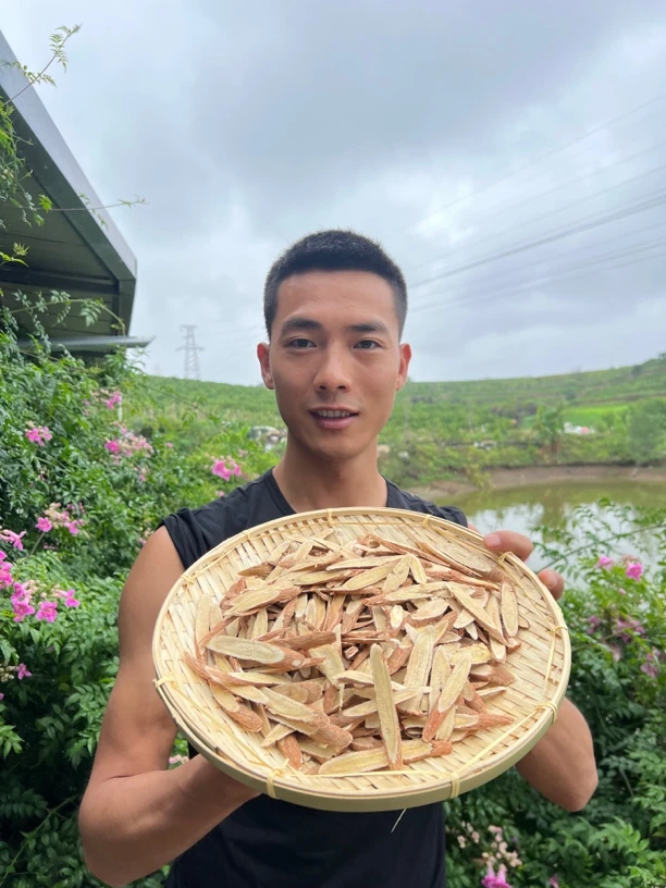 农家    山货 黄 芪