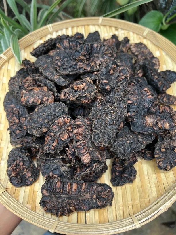 大山深处 农家诺丽果