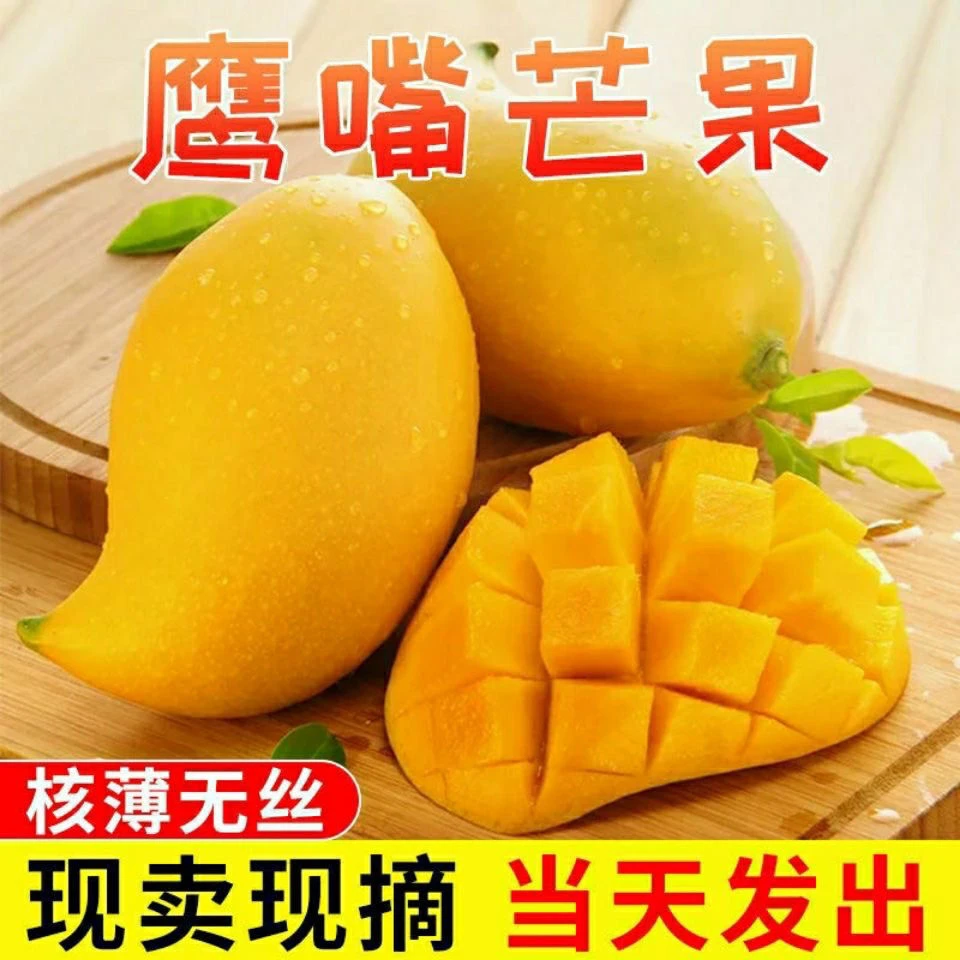 【催熟再吃】正宗新鲜鹰嘴芒果坏果包赔带箱5斤装/单果250g+