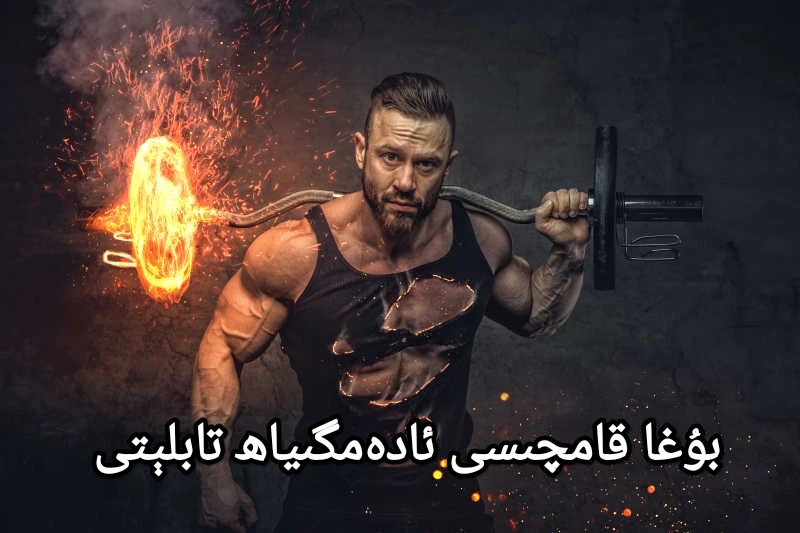 بۇغا قامچىسى ئادەمگىياھ تابلېتى 墙纸男士力量buga kamqisi