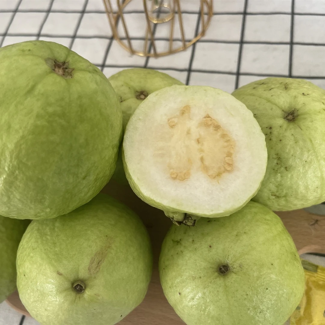 白心芭乐番石榴2斤