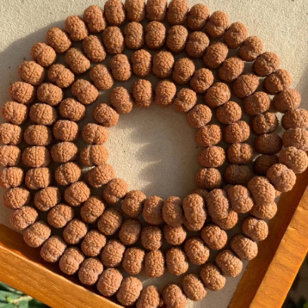 飞碟龙鳞梅花金刚菩提