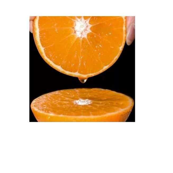 果冻橙3斤