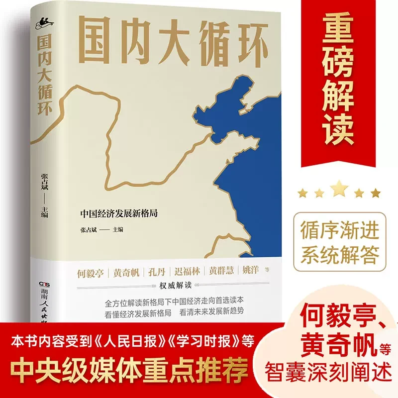 国内大循环中国经济发展新格局新战略与政策选择经济理论经管书籍
