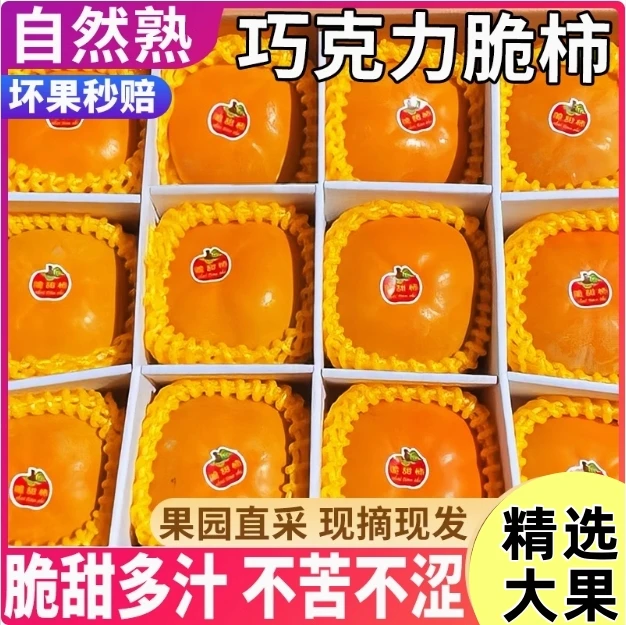 【产地直发】巧克力脆柿 脆皮硬柿子脆甜不涩冰糖甜蜜新鲜水果