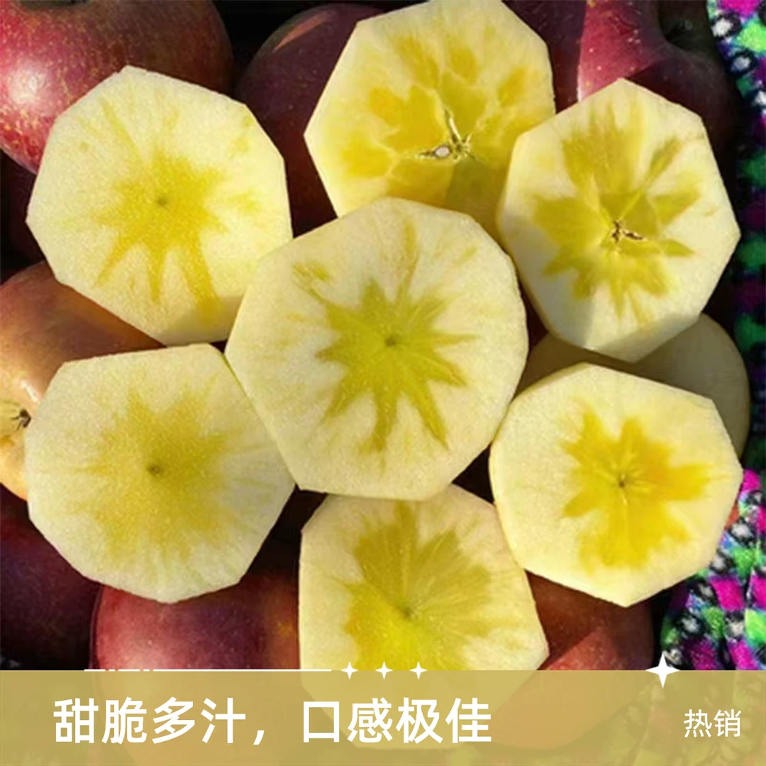 正宗2024年云南昭通糖心丑苹果脆甜高原原生态苹果新鲜现摘包邮