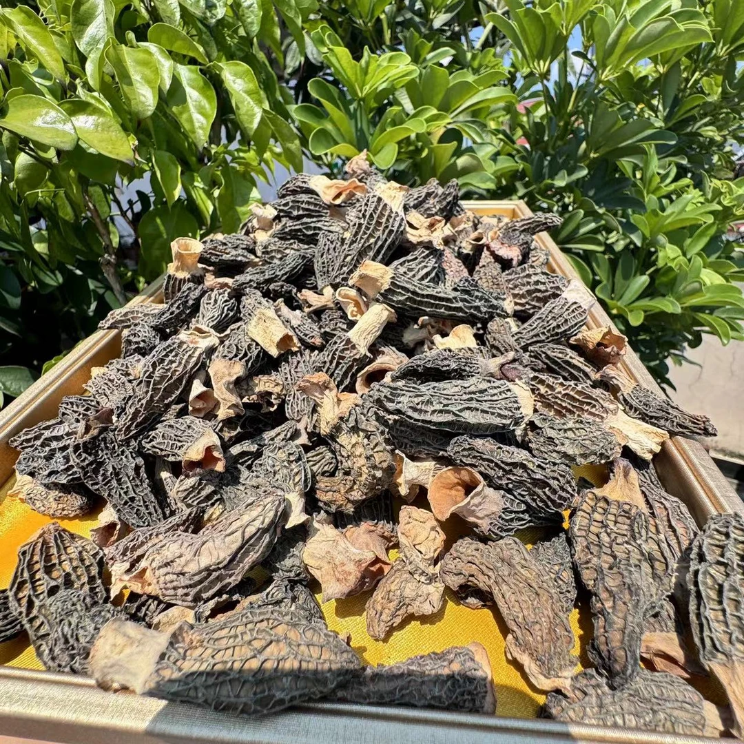 （小雪收好货）现收土特产 羊-肚-菌-50克-100克食用农产品