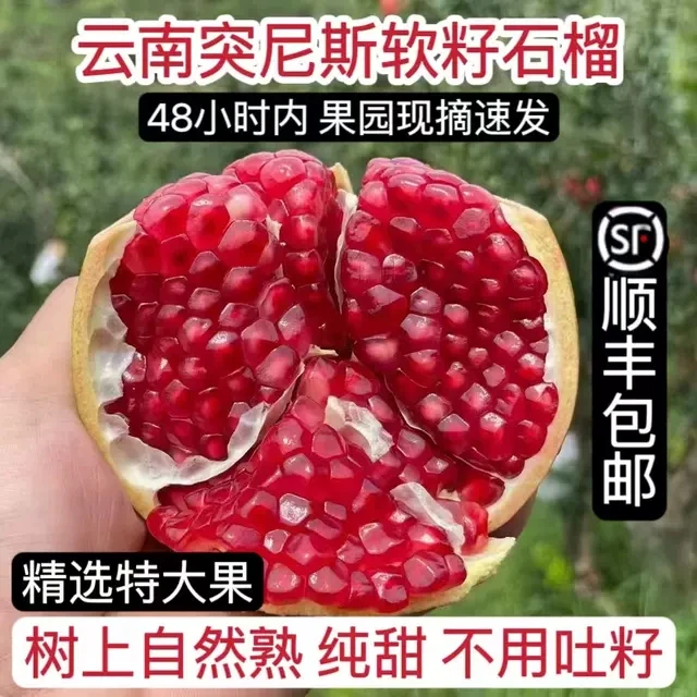 云南大理宾川突尼斯软籽甜石榴现摘当季水果大果顺丰包邮中秋礼物