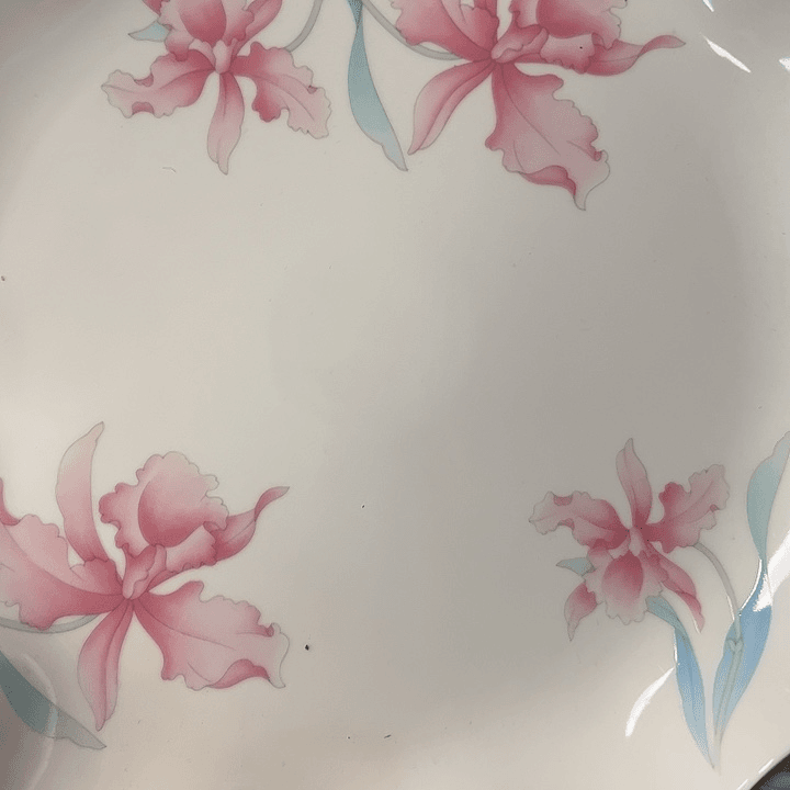 茶宠?****?我的小可爱们都