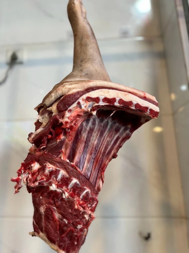 甘肃陇东黑山羊前腿带排5斤