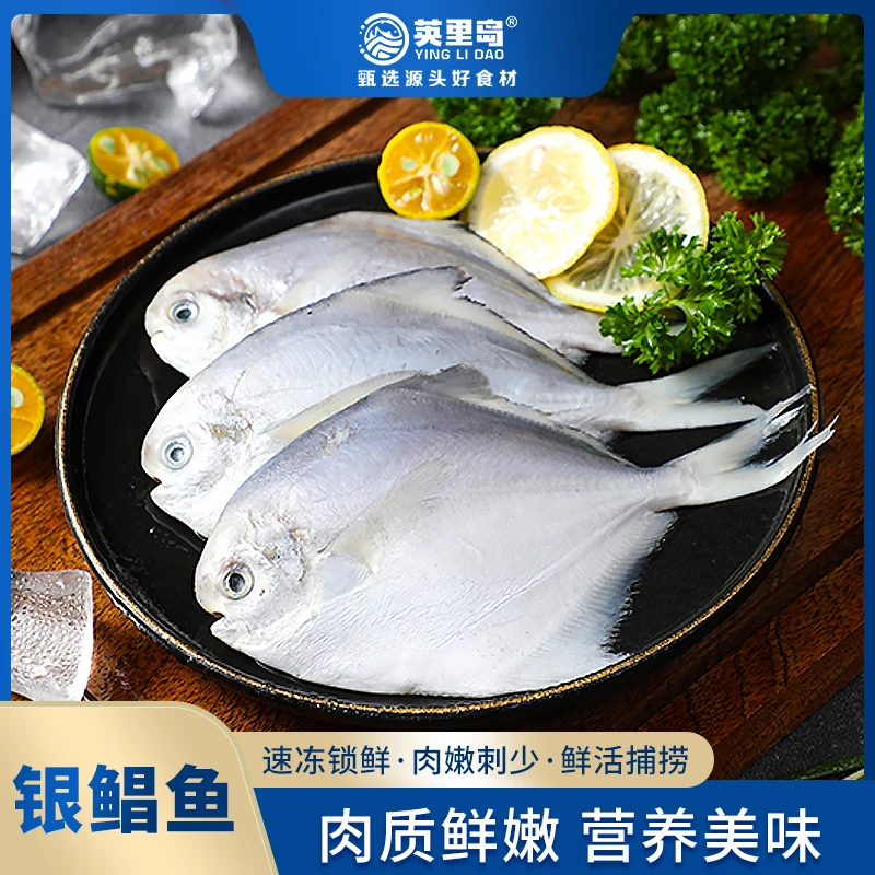 英里岛新鲜速冻银鲳鱼清蒸肉质美味鲜嫩速冻500g*5包(6-8条/包)