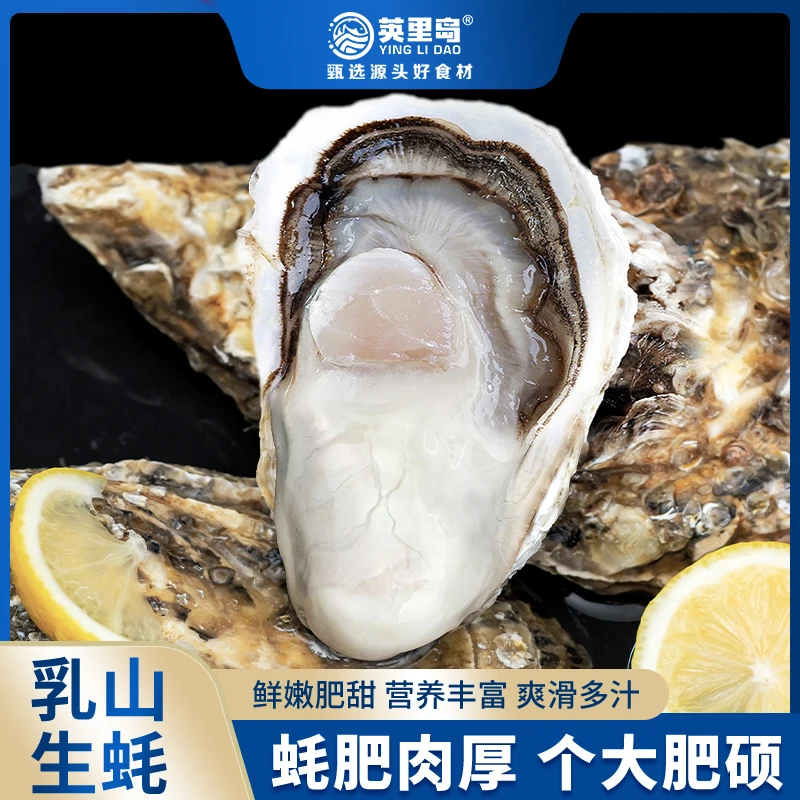 英里岛鲜活乳山生蚝牡蛎5斤装 产地直发 肥美多汁
