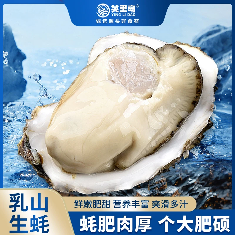 英里岛 鲜活乳山生蚝牡蛎5斤装 原产地直发 肥美多汁