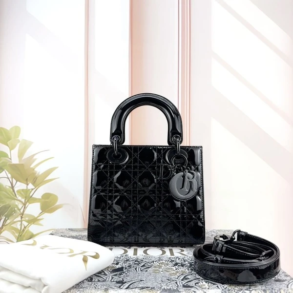 全新未使用 DIOR/迪奥 娜扎严选/迪奥/包包