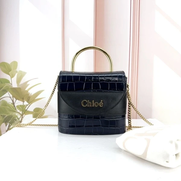 娜扎严选/蔻依/包包/95新/市场价34000/241001QR0025