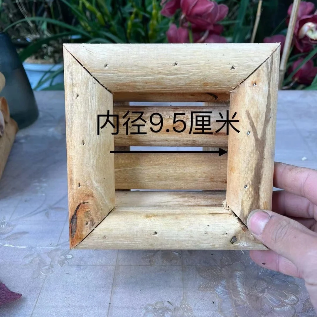 木盒（可种植各种石斛兰花）