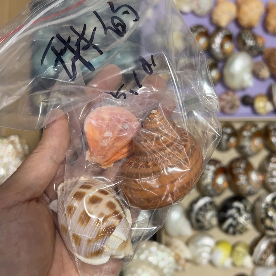 茶宠哈哈哈哈哈哈哈哈哈哈10