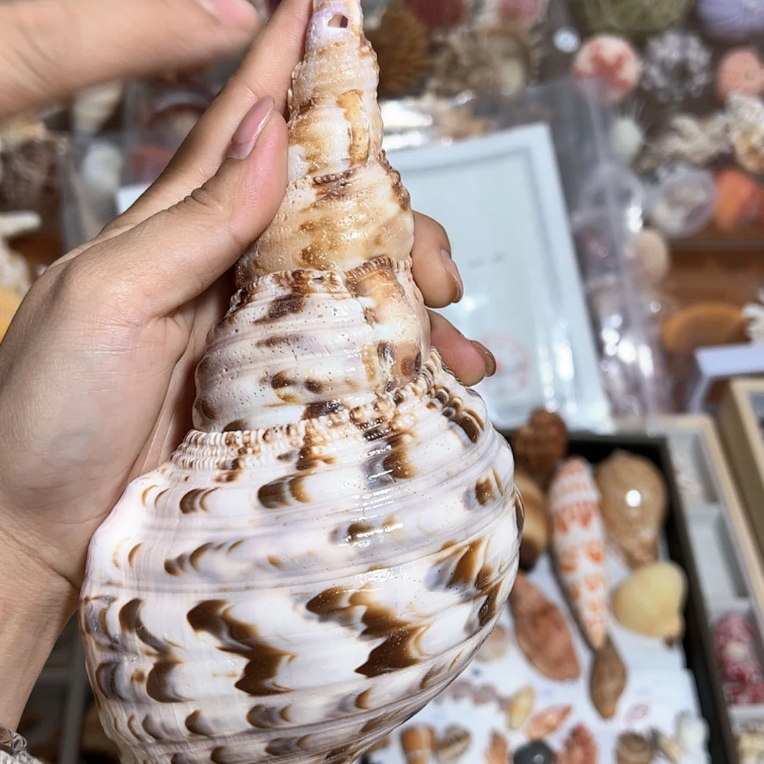 【闪购商品】玻璃茶盏兔*尼48