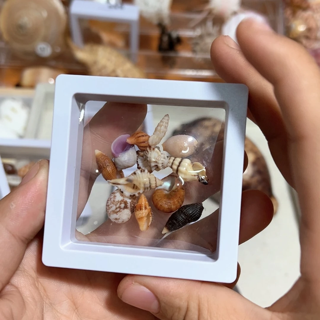 【闪购商品】玻璃茶盏?****界4