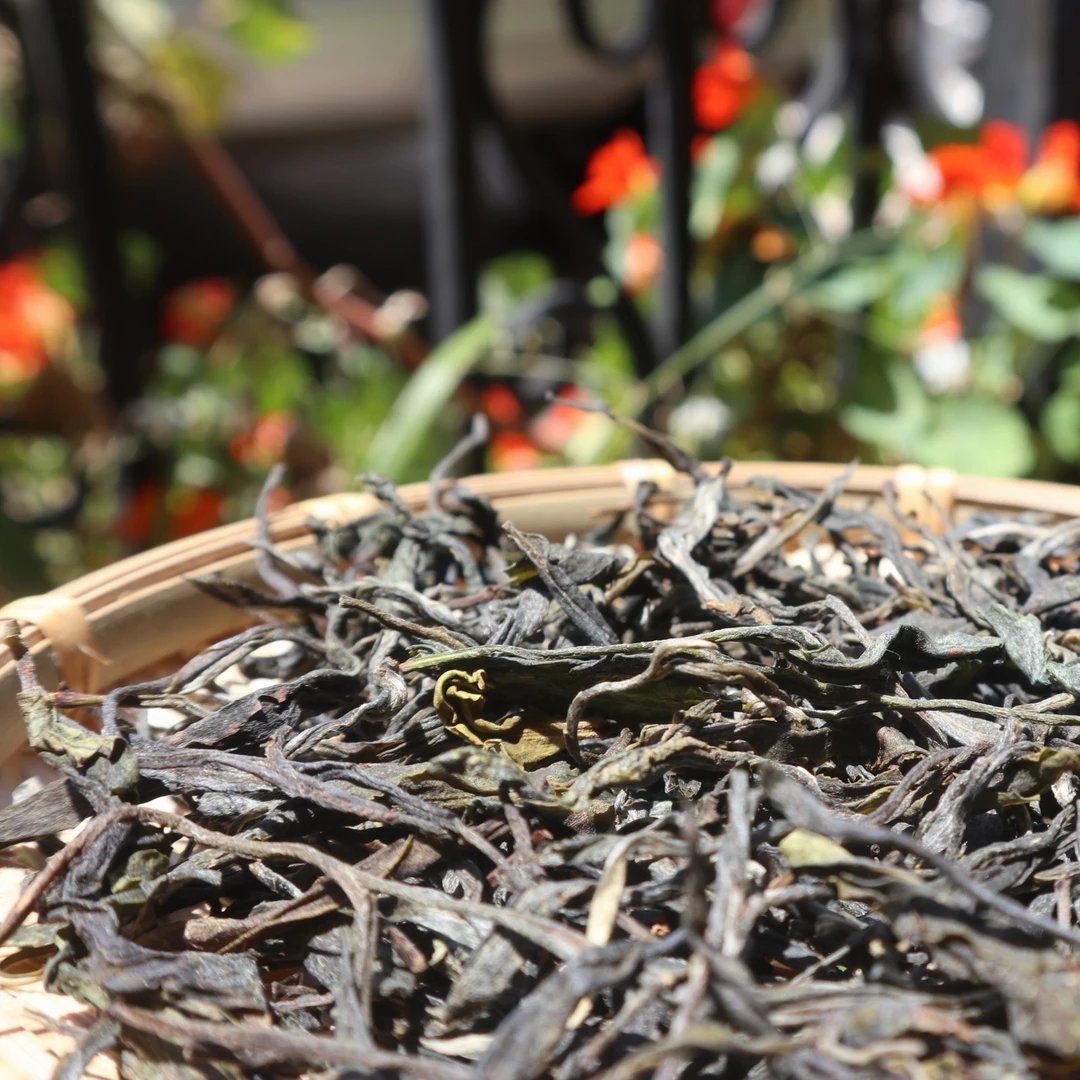 【勐彝】2023年小户赛 普洱生茶（散茶）400g 汤香水柔 喉韵清凉