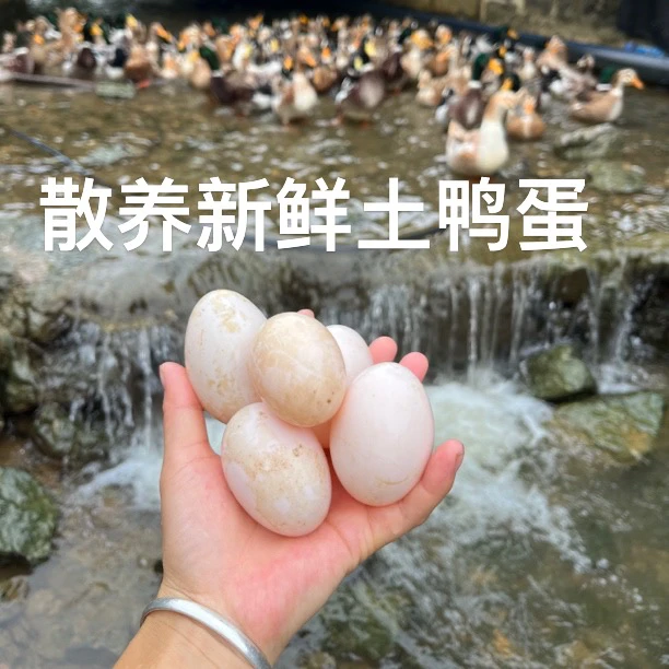 【顺丰包邮】广西农村散养新鲜土鸭蛋
