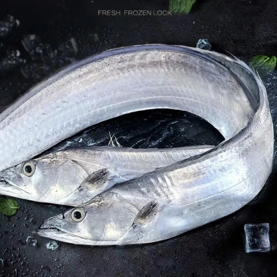 新鲜大带鱼速冻250g左右/条 到手10条四斤五两以上 码头直发