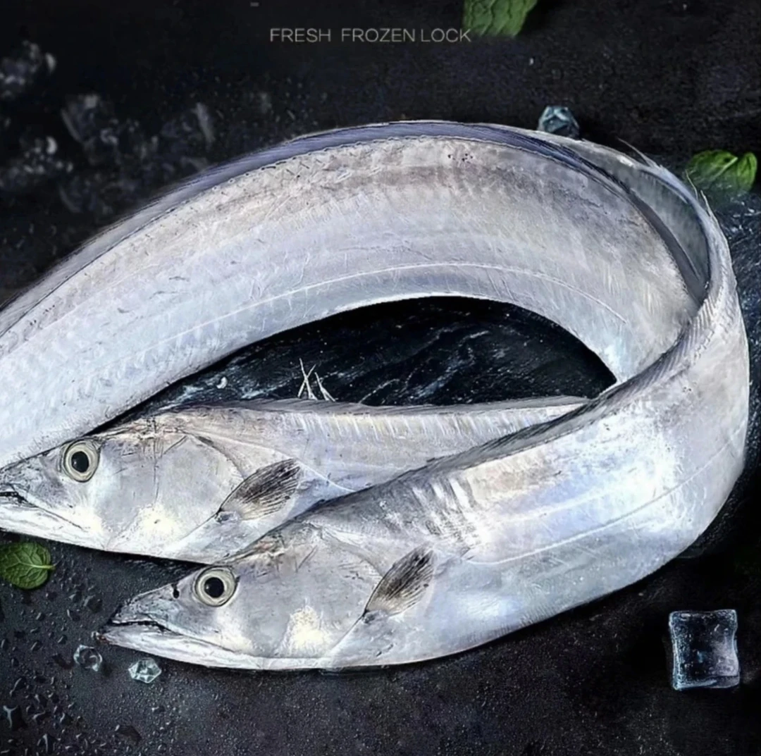 大带鱼 新鲜速冻 野生海钓带鱼 【400g-500g】/条 到手6条