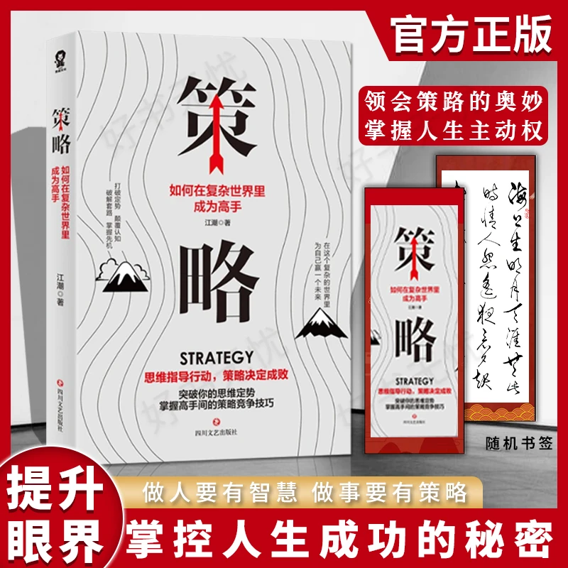 策略 如何在复杂世界里成为高手 突破思维定势策略制定技巧书籍