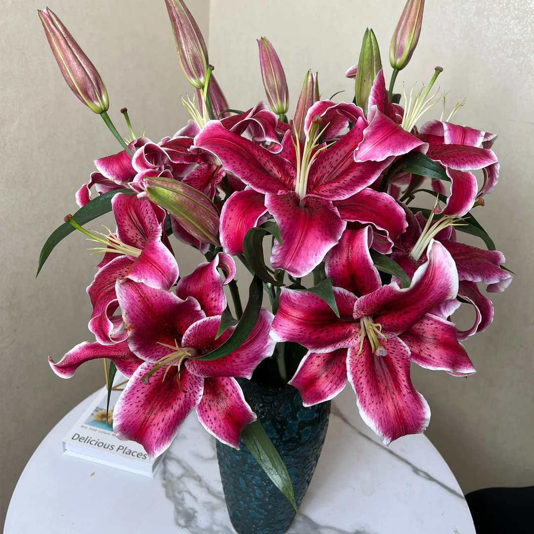 【基地直发】黑美人 香水百合 鲜花花卉  （香味因人而异）