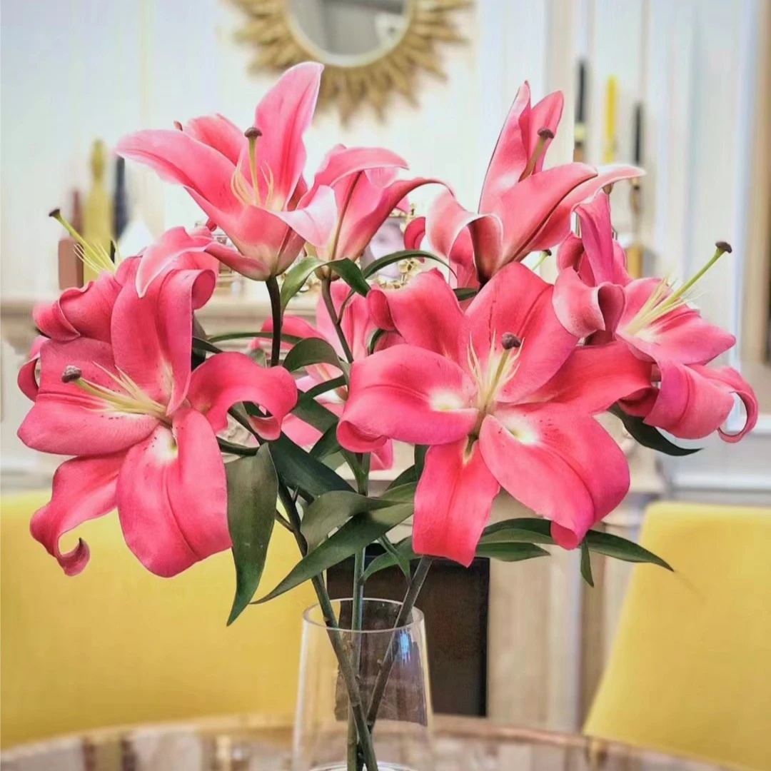 【基地直发】罗宾香水百合 鲜花花卉