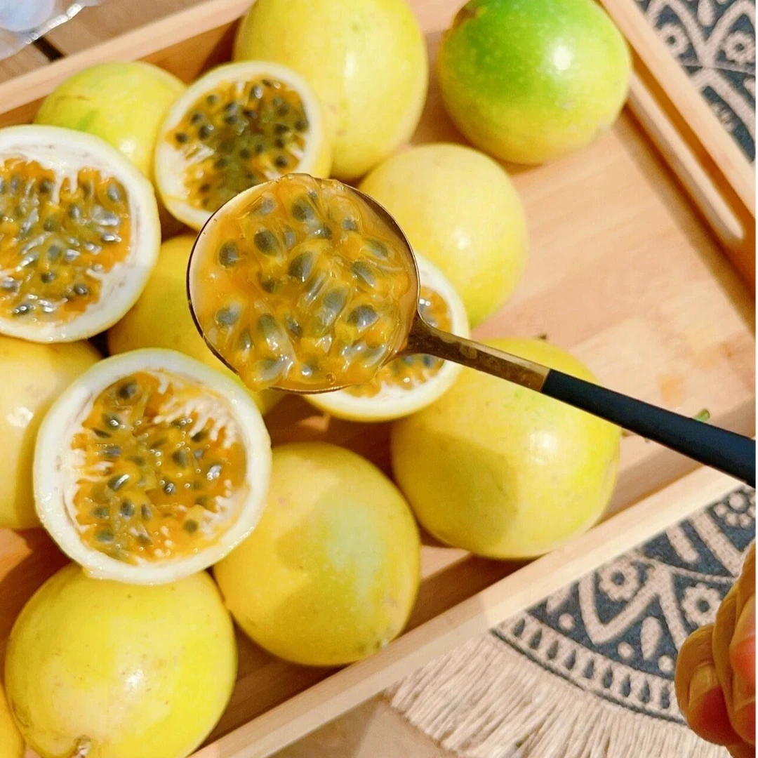 【新疆包邮】钦蜜9号黄金百香果