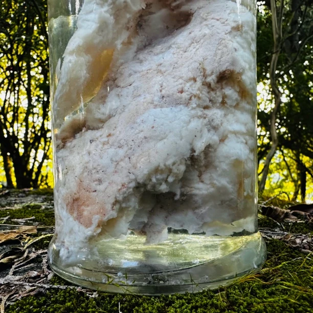【石-泰-碎】净含量50g-500g