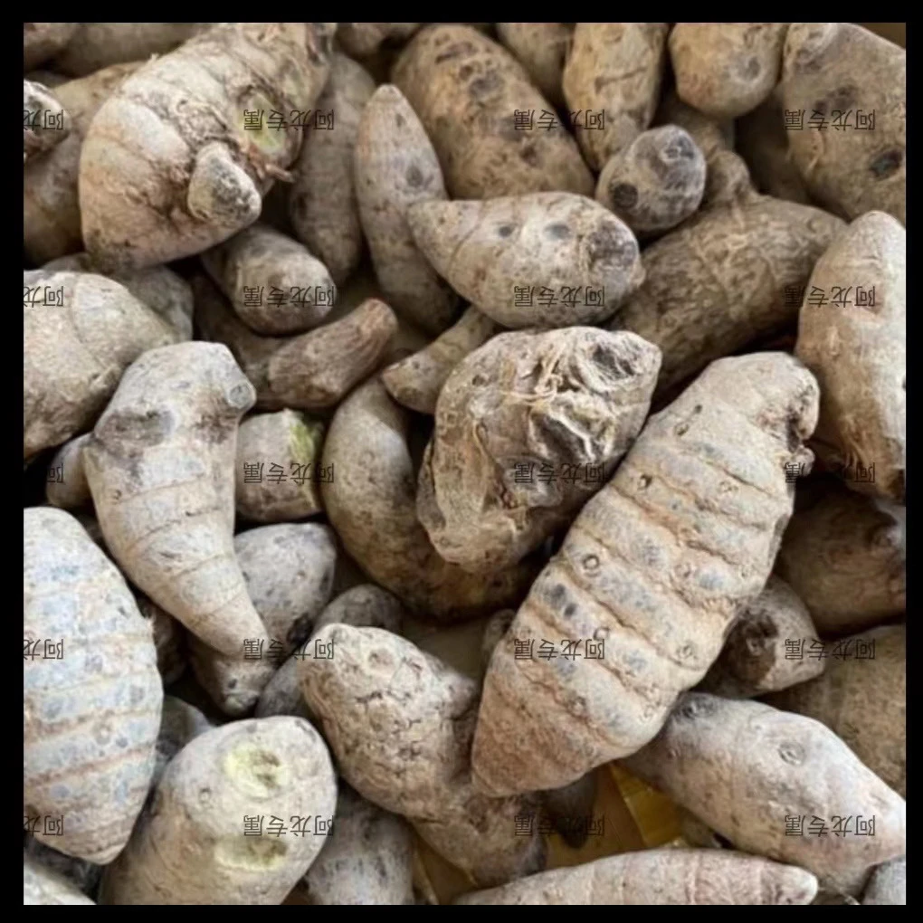 【W土特产雪三】七净含量500g