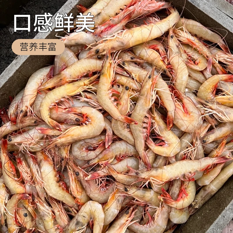 汕尾市甲子港海捕白刺虾（盒500克）