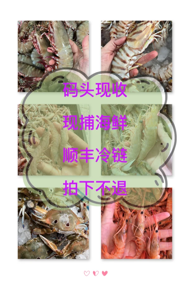 1⃣️甲子港代购海鲜拍下鱼虾蟹3-20斤（包杀）海捕