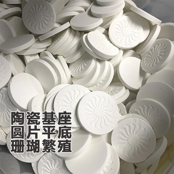 圆片平底纽扣基座断枝断肢托盘sps海水珊瑚架繁殖陶瓷底座圆