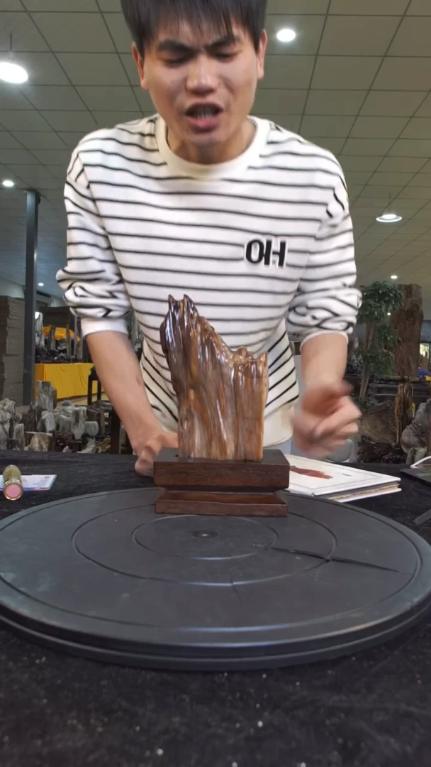 【闪购商品】硅化玉珠宝奇石未镶嵌1