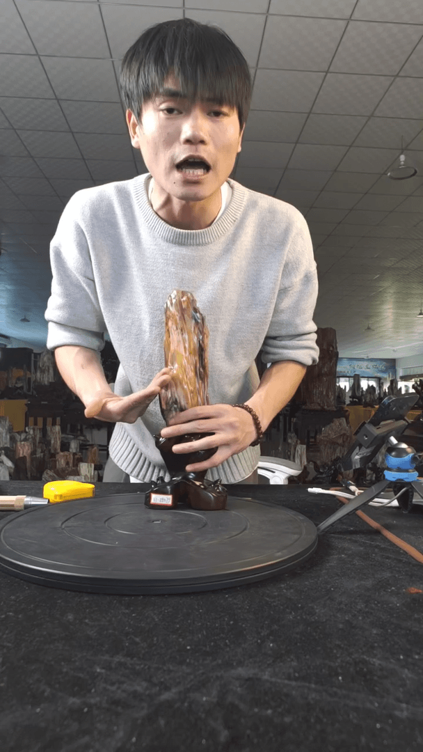 【闪购商品】硅化玉珠宝奇石未镶嵌1