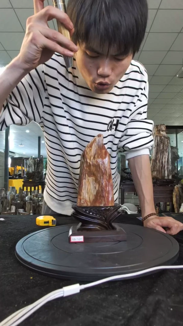 【闪购商品】硅化玉珠宝奇石未镶嵌1