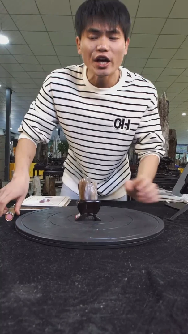 【闪购商品】硅化玉珠宝奇石未镶嵌1