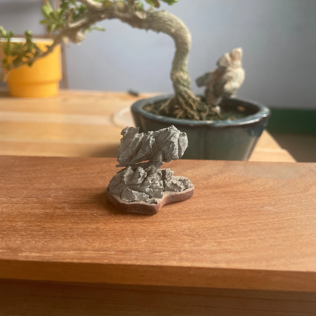 灵璧石滴水莲花  一物一拍