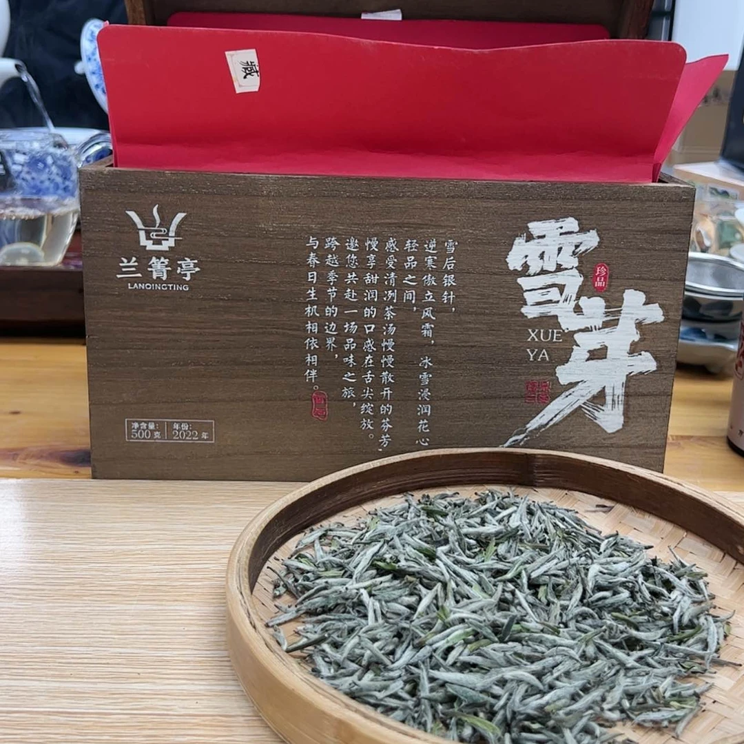 【闪购商品】骨瓷摆件雪芽500克2022